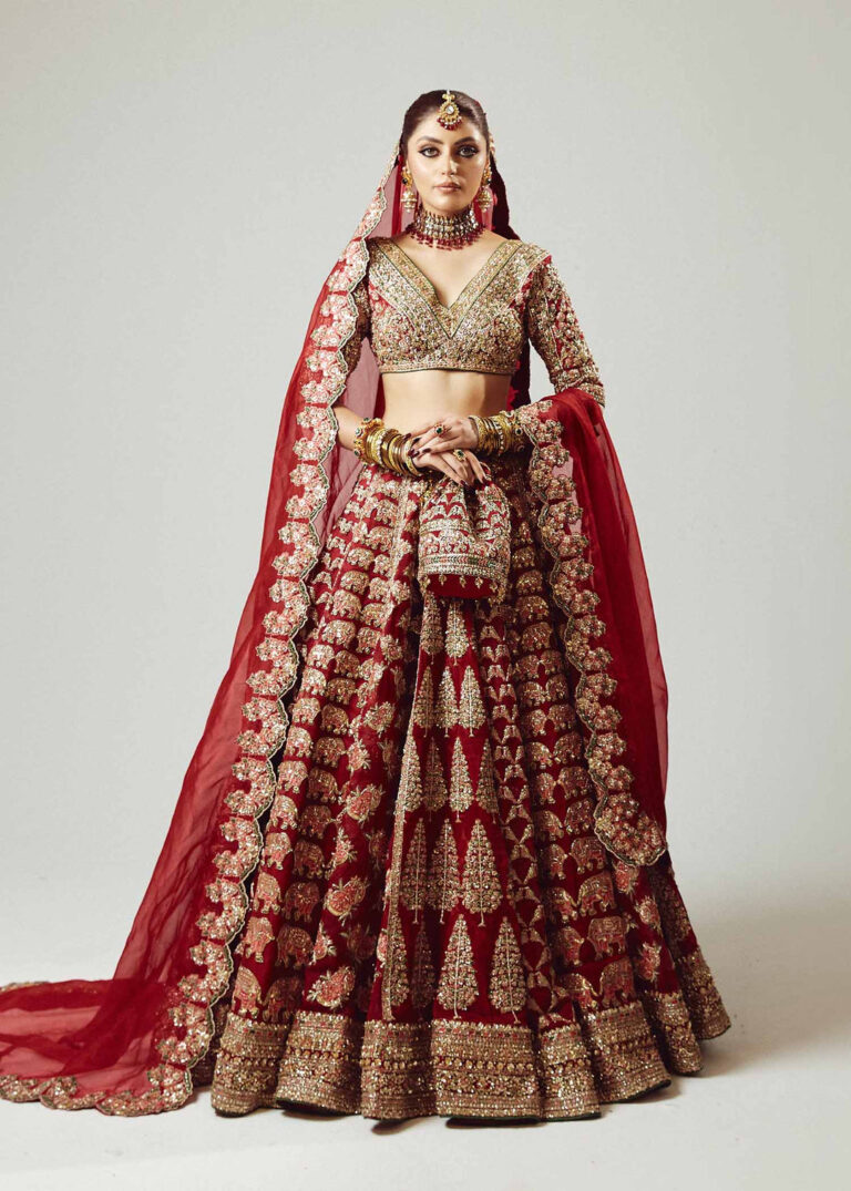 IndianWeddingDressinRedLehengaandCholiStyle_1080x